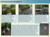 SSACgnp.GB661.MCR1.3-Slide 7