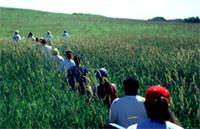 Teachers in the Allwine Prairie on a field trip during this course.