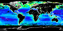 Averaged global chlorophyll concentration for the month of July (from 1978 to present).