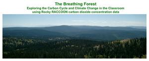 Rocky RACCOON Breathing Forest