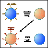 Diagram of solar radiation affecting a planet.
