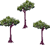 Illustration of three trees.