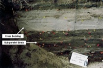 Alluvial Fan Stratigraphy