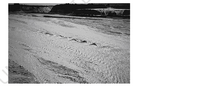 Critical flow in channels of a braided stream