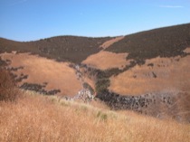 debris_flow_scour