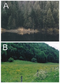 Fan-delta deposition into a river.