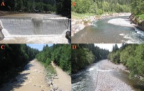 Marmot Dam: Before and After