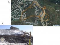 Nicoll_SLIDES_Fig4_A+scarp.jpg