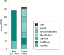Tidal Marsh and Tidal Flat Abundance