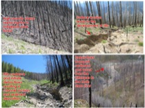 Post-fire erosion in the Middle Fork Salmon River, Idaho