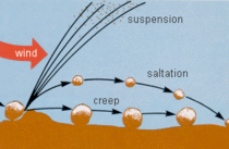 Saltation in Turbulent Flow