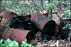 Rotting barrels on the Hemmingway Trucking property
