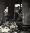 Hide preparation, transport