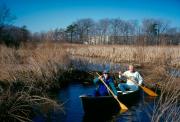 Canoe in Aberjona River