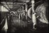 Leather tanning, chrome tanning