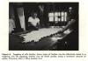 Toggling to dry leather at the Riley Tannery