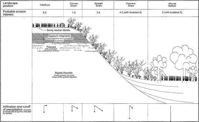 figure_4._profile_east.jpg