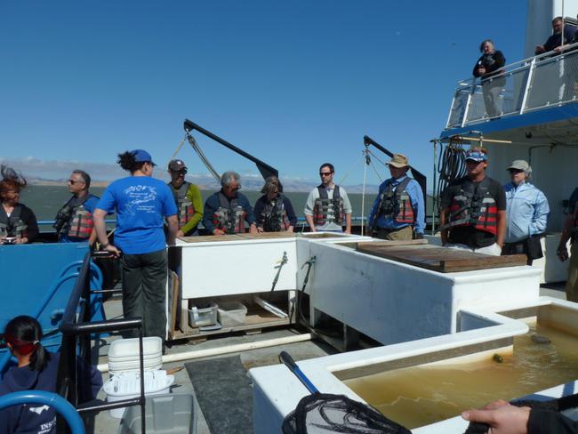 Oceanography pre-workshop field trip