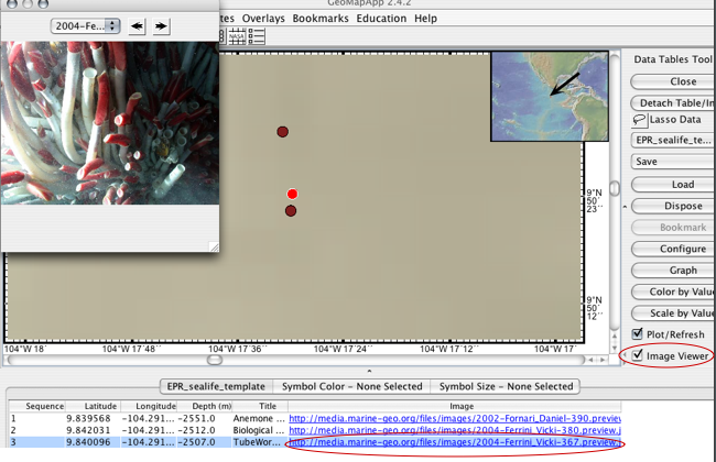 Image Viewer In Geomapapp Displaying One Image