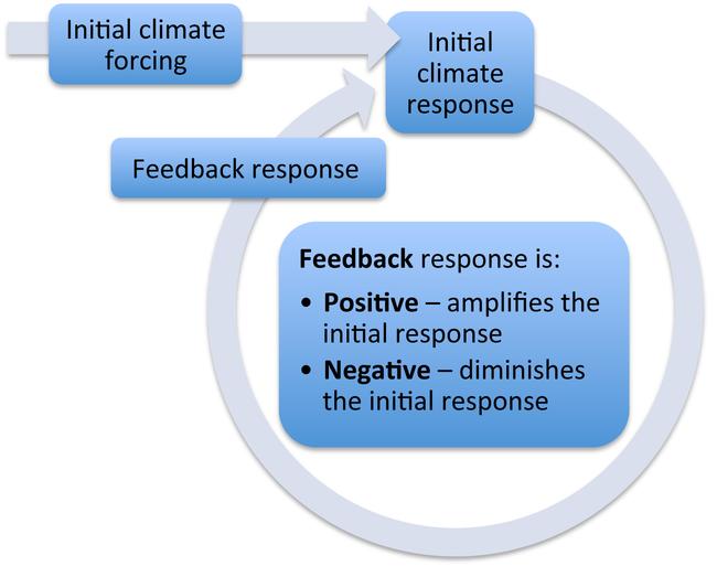 negative feedback