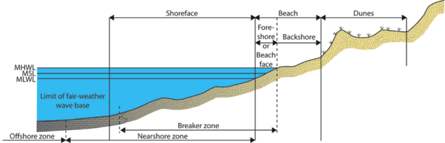 idealized_cross_sectional_profile_14732642371942171386.png