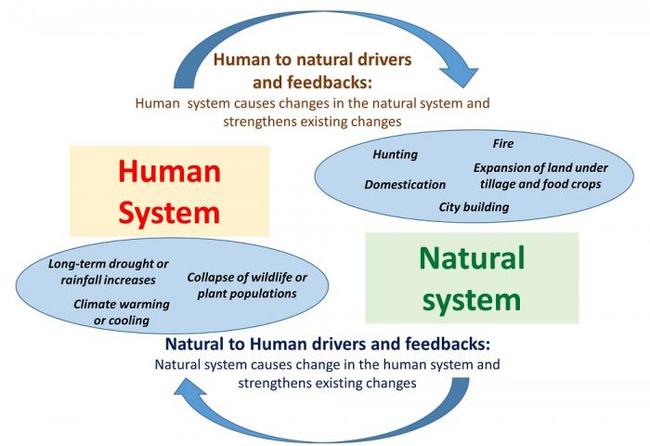 General Diagram Coupled Natural Hum