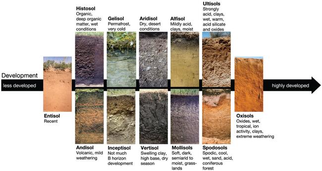 soil-5-6b-jpg