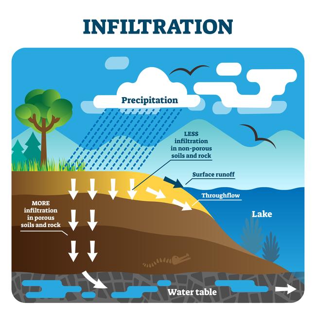 water cycle - infiltration (diagram).jpeg