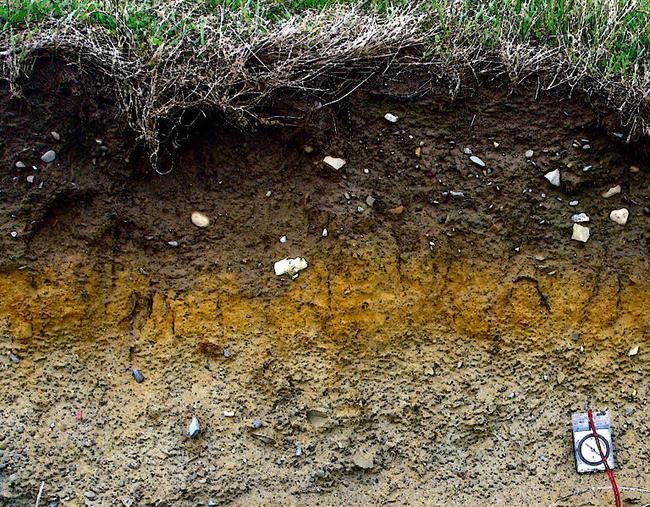 Figure 2 Soil Profile