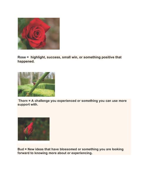 Rosebud Icebreaker front slide