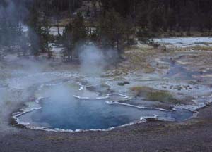 Octopus Spring in Yellowstone National Park