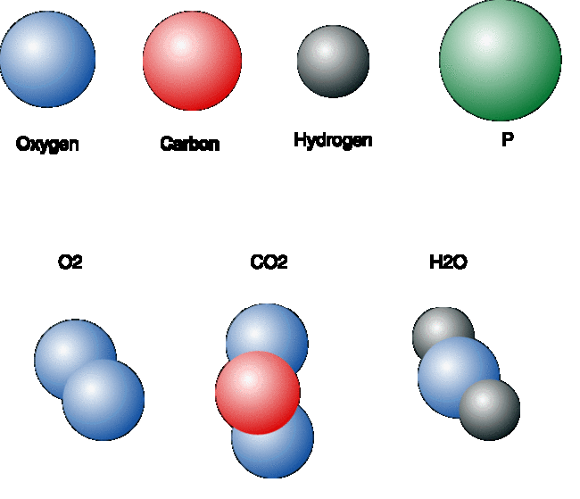 diagram-of-a-few-common-molecules